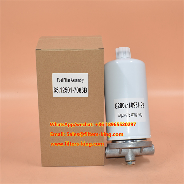 Conjunto de filtro de combustible 65.12501-7083B para Doosan