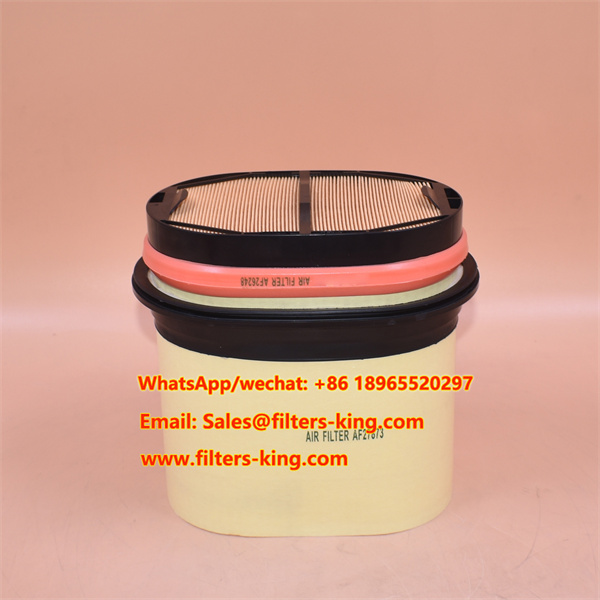 Filtro de aire Fleetguard AF27873 AF26248