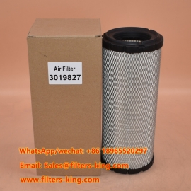 3019827 Filtro de aire