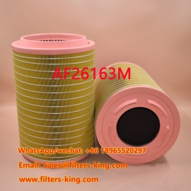 Filtro de aire AF26163M