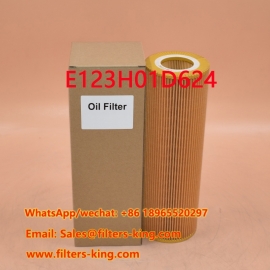Filtro de aceite E123H01D624