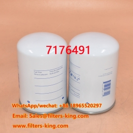 7176491 Filtro de combustible