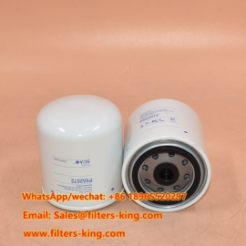 P552072 Filtro de refrigerante
