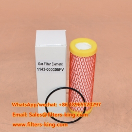 Elemento de filtro de gas