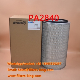 Filtro de aire PA2840
