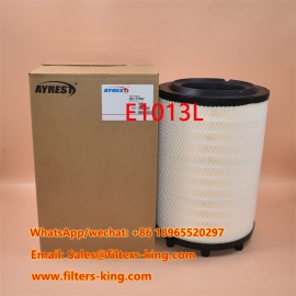 Filtro de aire E1013L