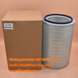 503251 Filtro de aire
