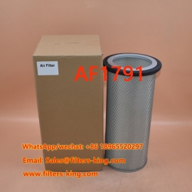 Filtro de aire AF1791