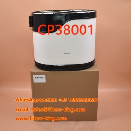 Filtros PowerCore CP38001