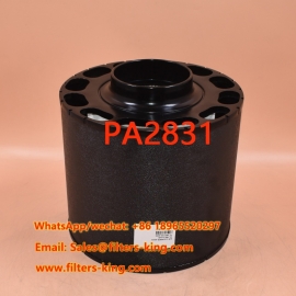 Filtro de aire PA2831
