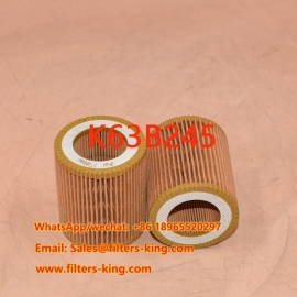 Filtro de aire K63B245