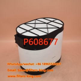 Filtro PowerCore P608677