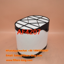 Filtro PowerCore AF4207