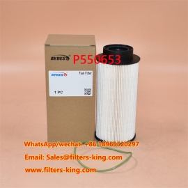P550653 Filtro de combustible