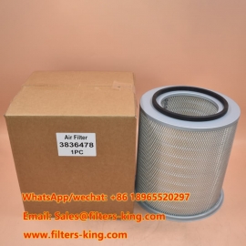 3836478 Filtro de aire