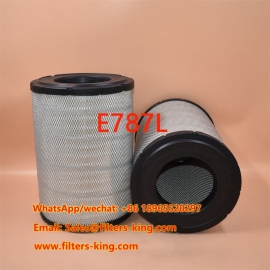 Filtro de aire E787L