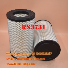 Filtro de aire RS3731