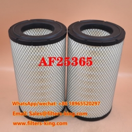 Filtro de aire AF25365