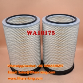 Filtro de aire WA10175