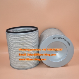 Filtro de aire P181000