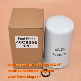 Filtro de combustible 40C6996