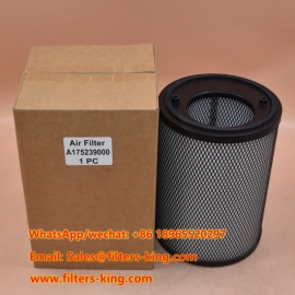 Filtro de aire 175239000