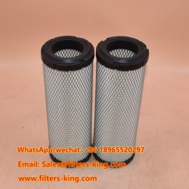Filtro de aire AF25539
