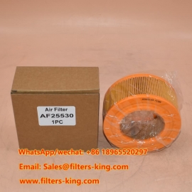 Filtro de aire AF25530