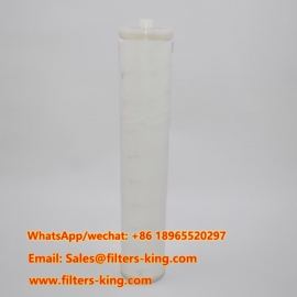CSPHEW1-24BXH  Cartucho de filtro coalescente