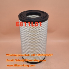 Filtro de aire E811L01