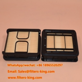 Filtro de aire AF55321